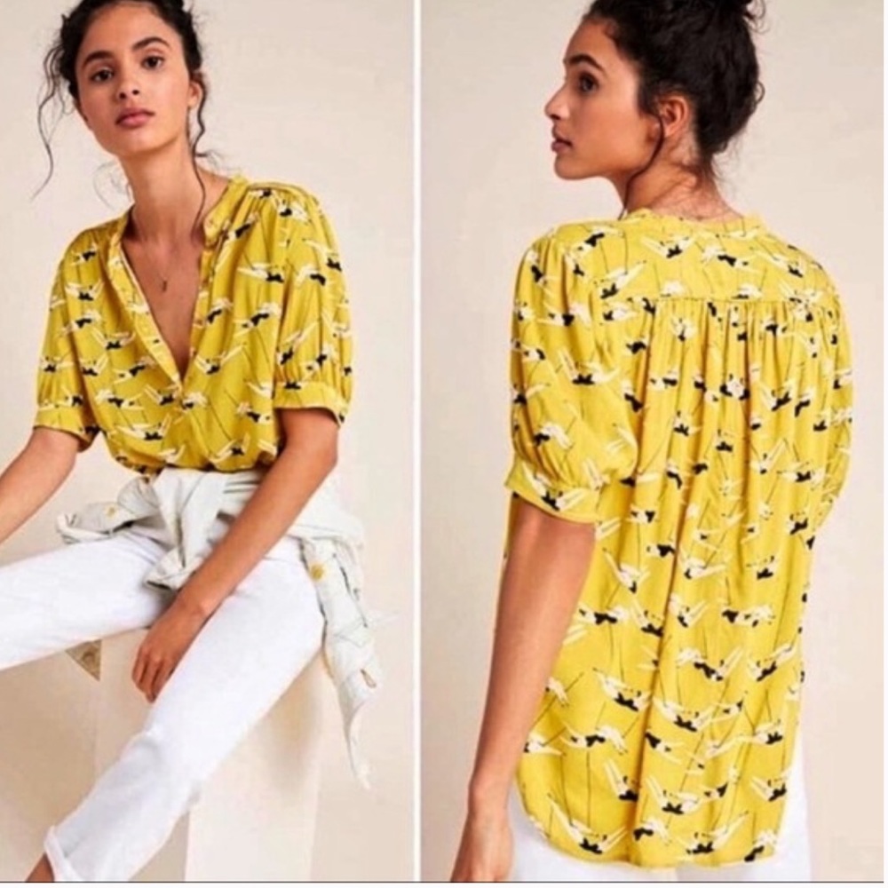 ANTHROPOLOGIE l Emily Isabella Robina Blouse